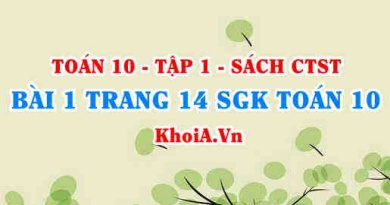 Bài 1 trang 14 SGK Toán 10 tập 1 Chân trời sáng tạo